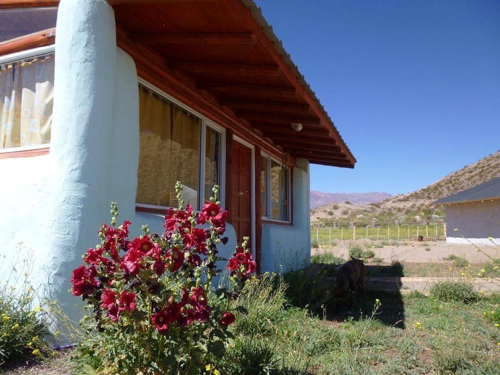 Valle Del Cielo 乌斯帕亚塔 客房 照片